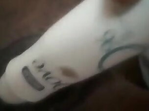 Best Creampie Porn Videos